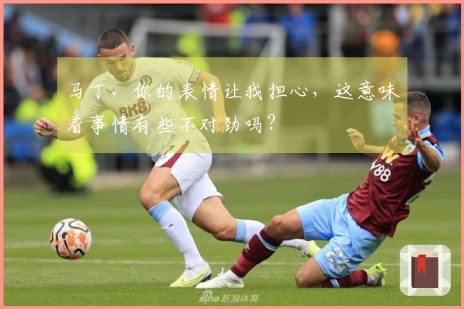 马丁，你的表情让我担心，这意味着事情有些不对劲吗？