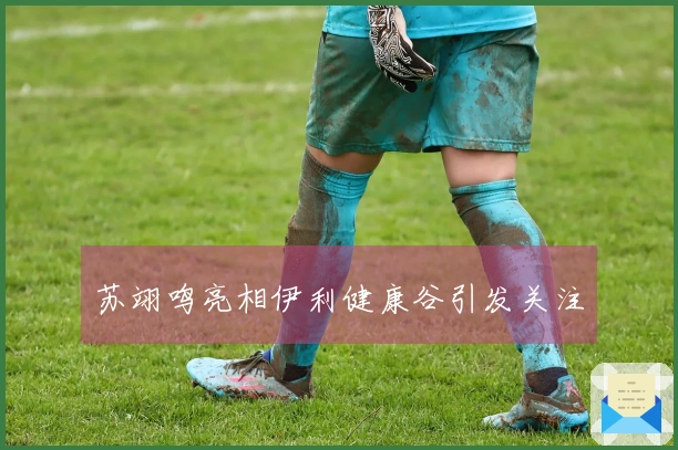 苏翊鸣亮相伊利健康谷引发关注