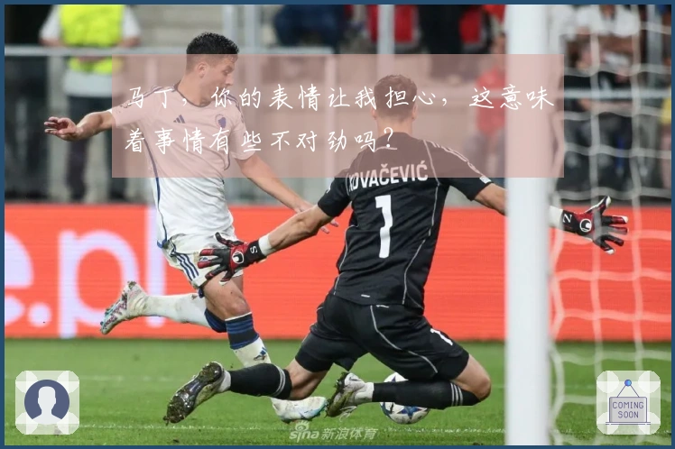 马丁，你的表情让我担心，这意味着事情有些不对劲吗？